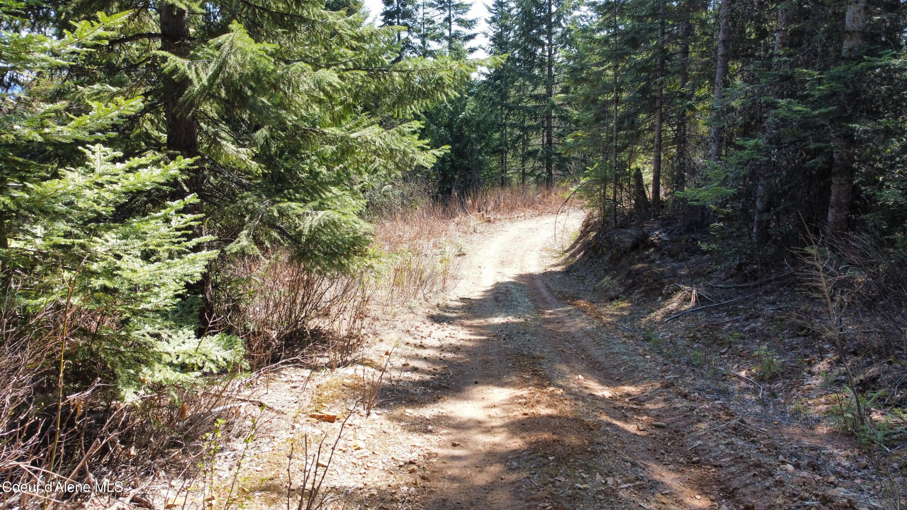 Nka Alder Creek Road St. Maries, ID 83861 - Photo 5 of 16 dji_fly_20250423_111406_716_174543216061