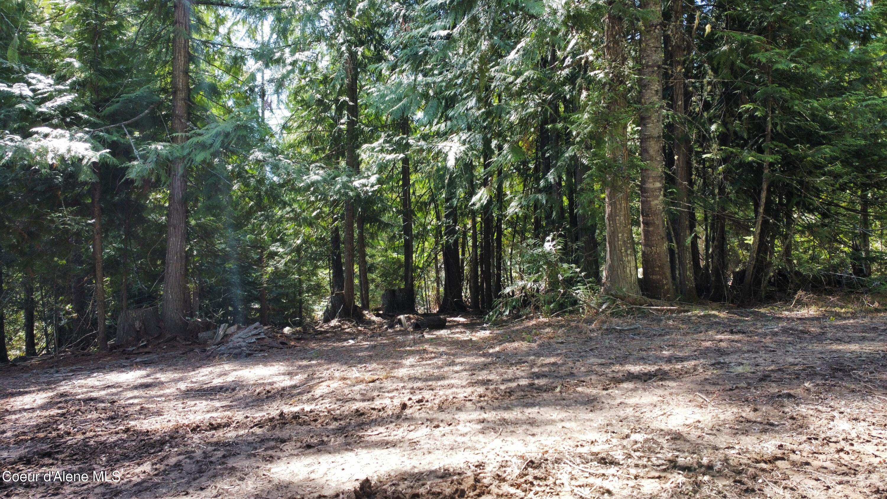 Nka Alder Creek Road St. Maries, ID 83861 - Photo 7 of 16 dji_fly_20250423_110704_702_174543218710