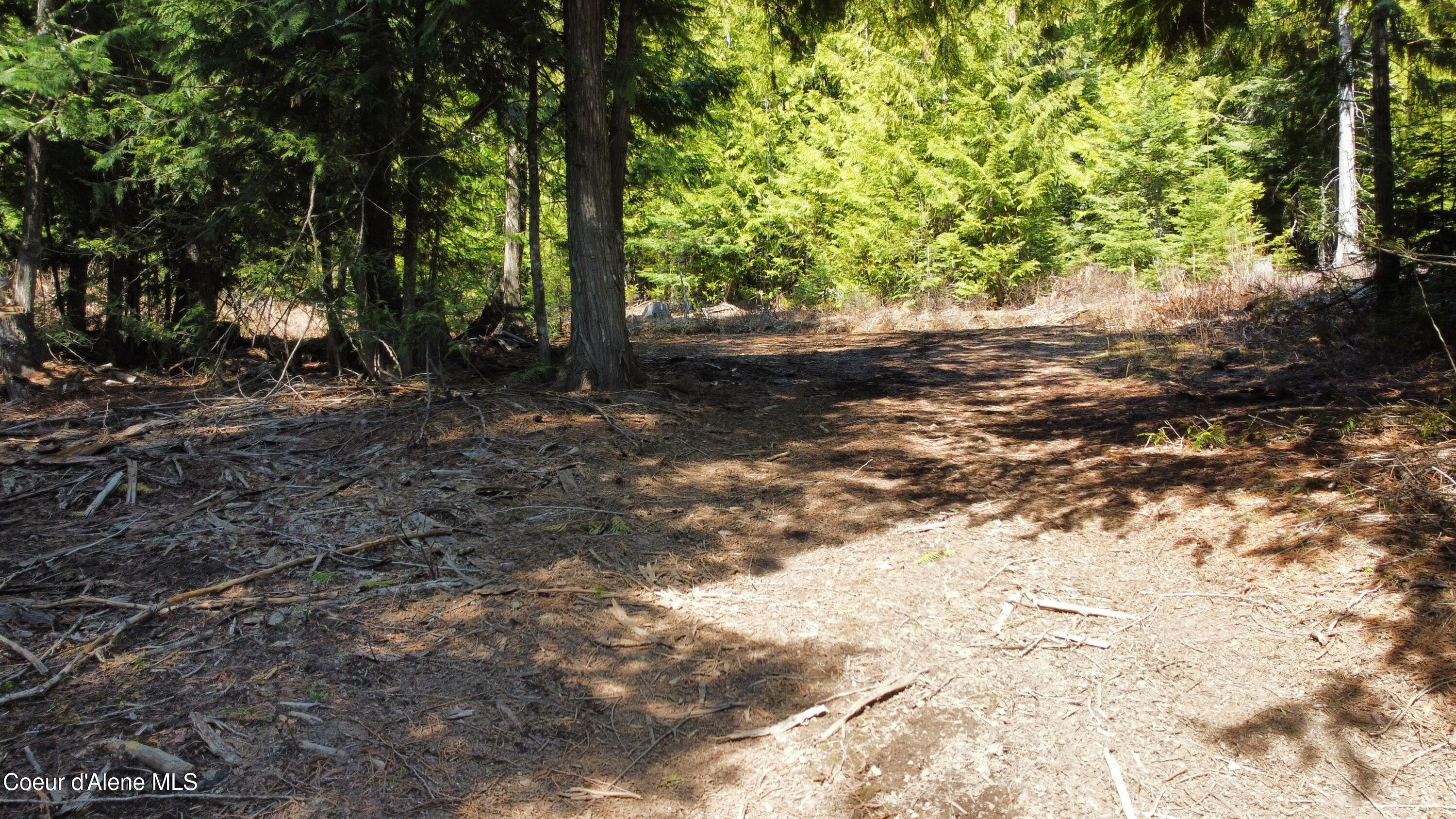 Nka Alder Creek Road St. Maries, ID 83861 - Photo 8 of 16 dji_fly_20250423_111338_715_174543216145