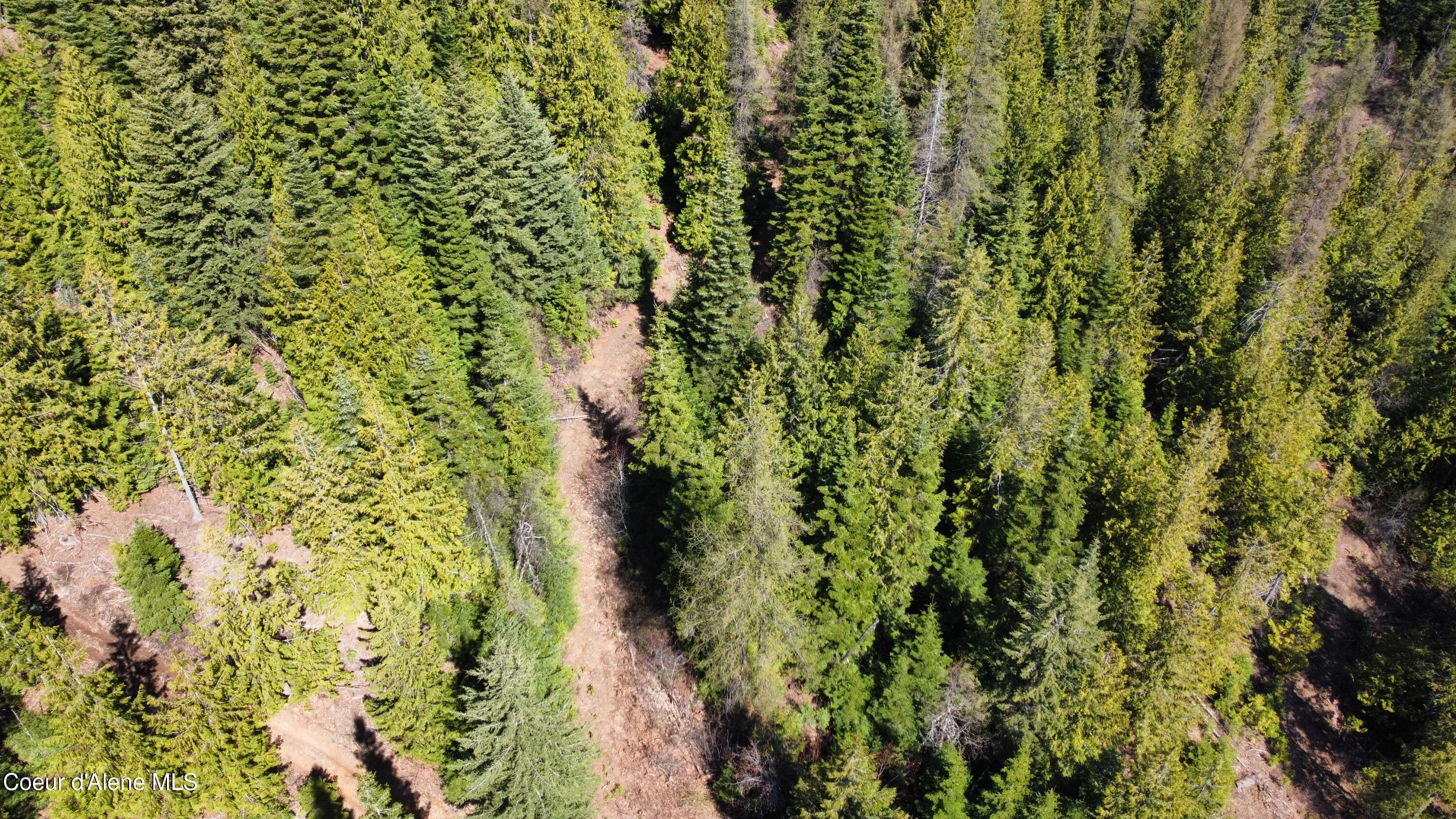 Nka Alder Creek Road St. Maries, ID 83861 - Photo 9 of 16 dji_fly_20250423_110750_706_174543217335