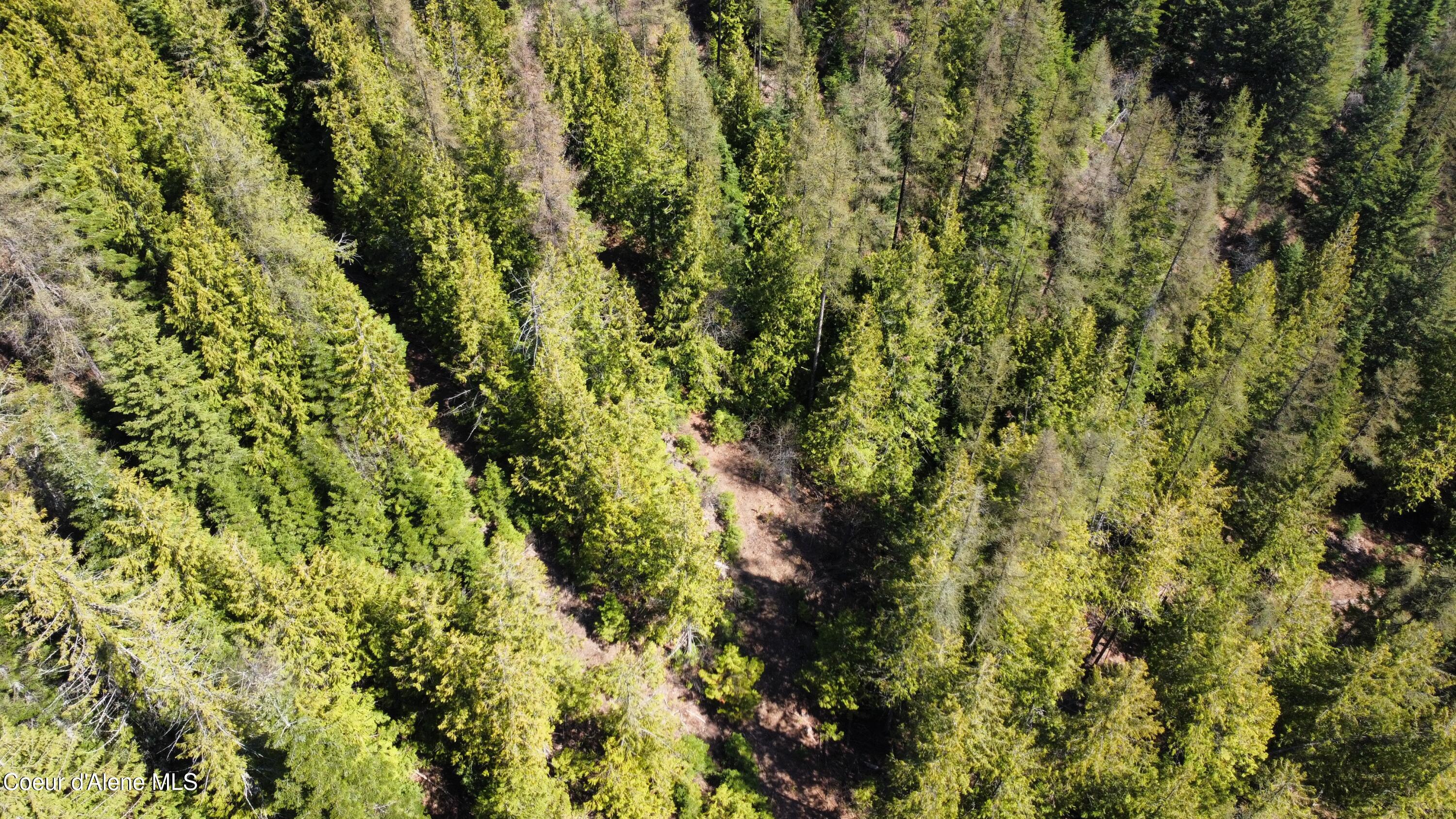 Nka Alder Creek Road St. Maries, ID 83861 - Photo 10 of 16 dji_fly_20250423_110814_707_174543216977
