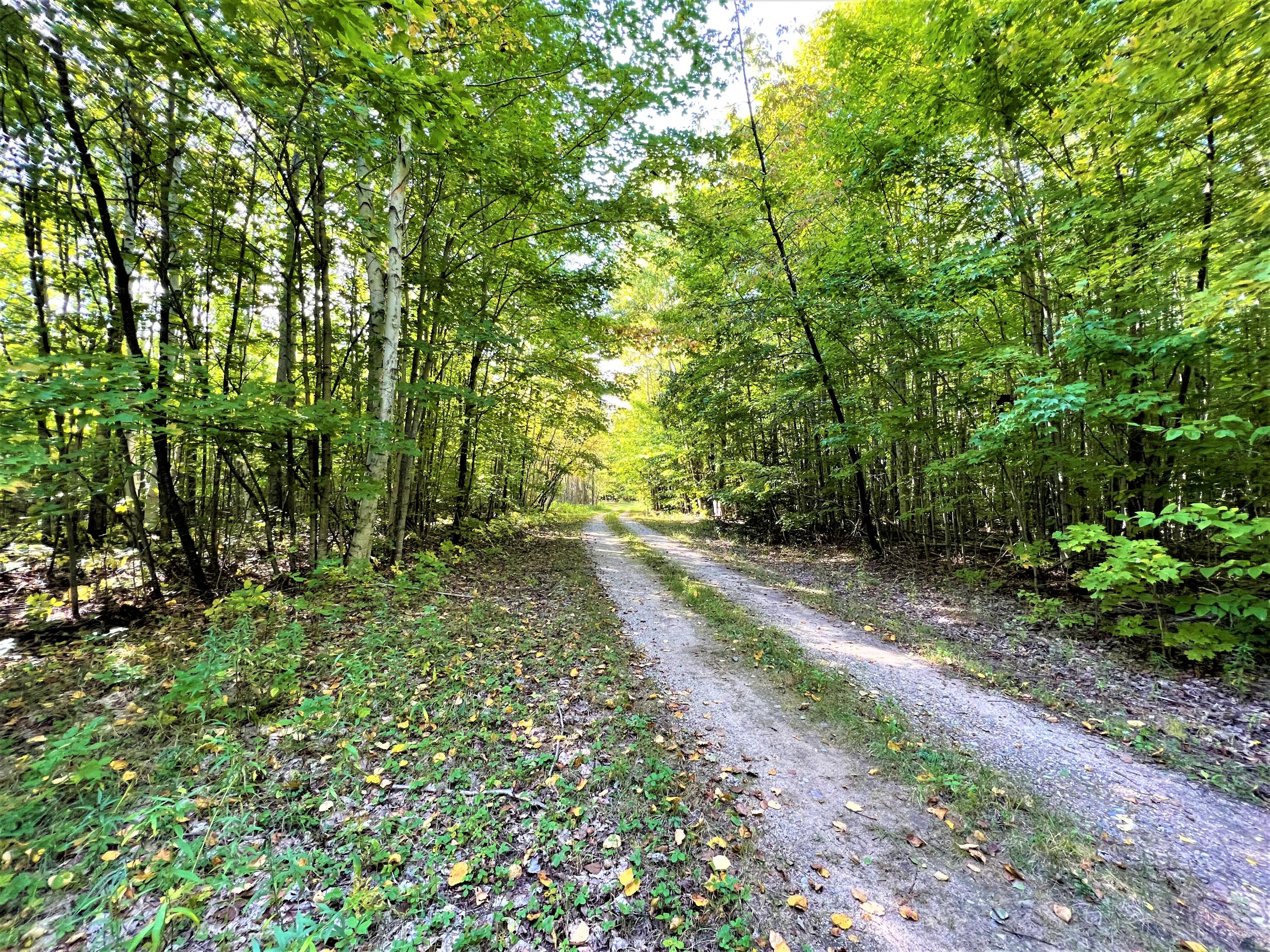 12552 Bates Road Cheboygan, MI 49721 - Photo 15 of 39 Gallery Image 15