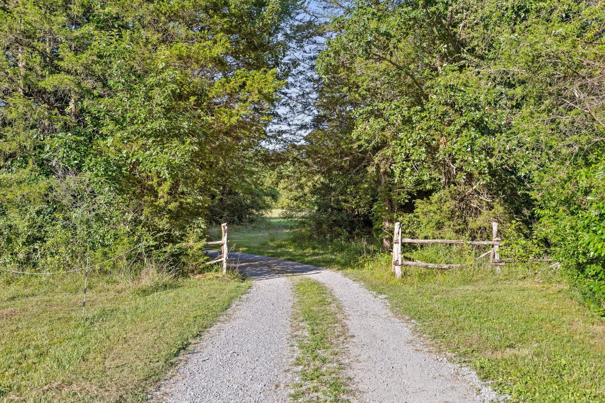 657 Brock Road Chickamauga, GA 30707 - Photo 11 of 55 a view of a park with large trees