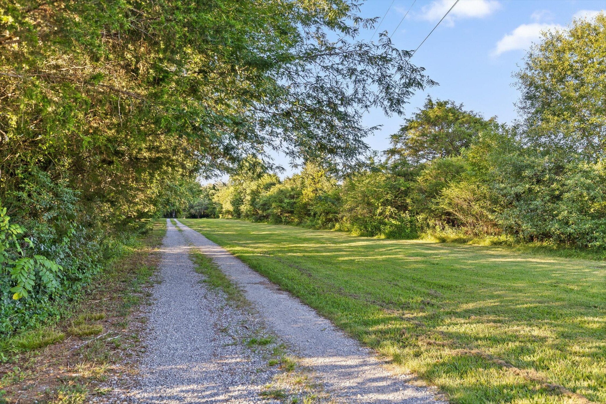 657 Brock Road Chickamauga, GA 30707 - Photo 13 of 55 a view of a park with large trees