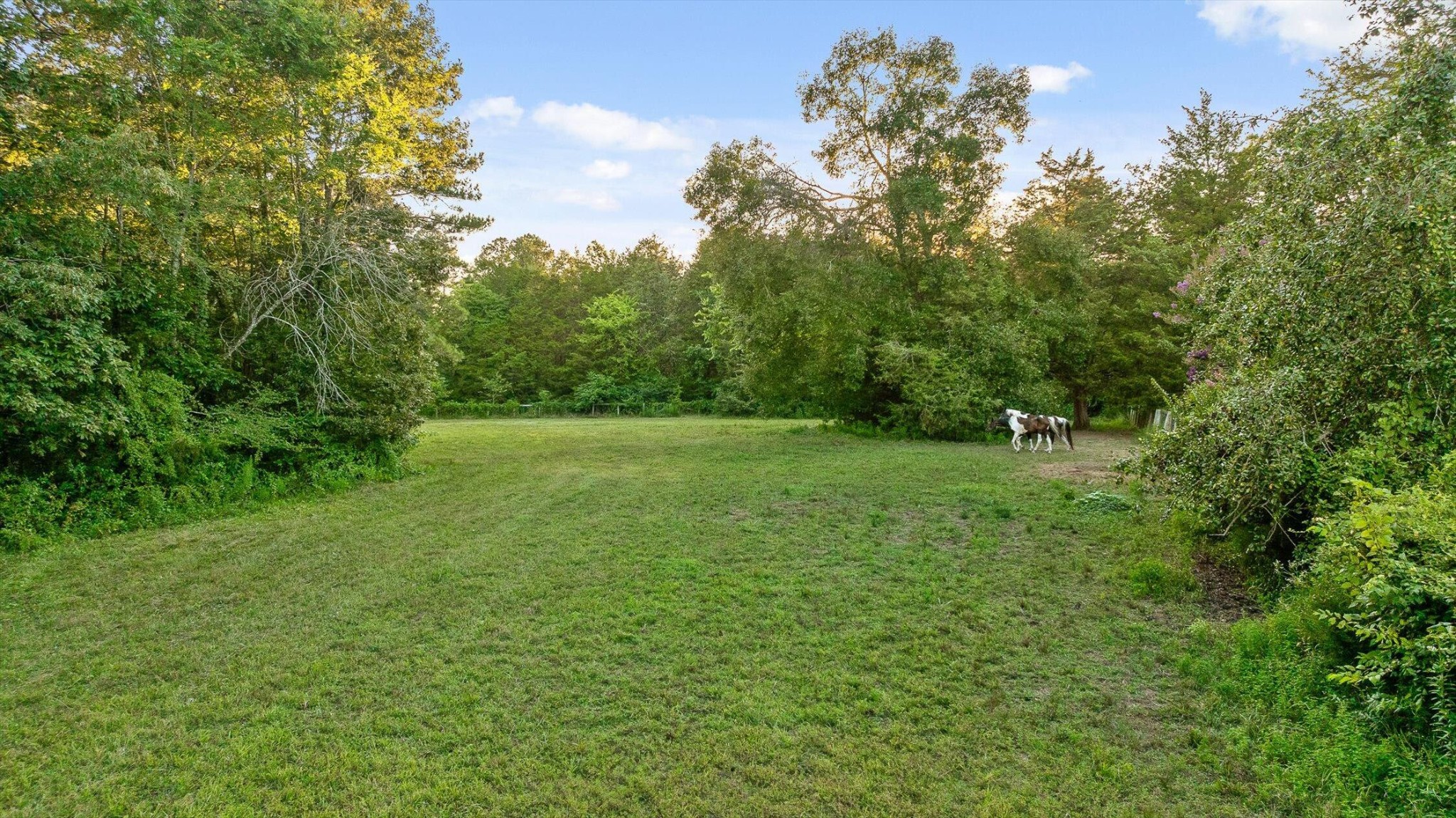 657 Brock Road Chickamauga, GA 30707 - Photo 14 of 55 a view of a grassy field with trees in the background