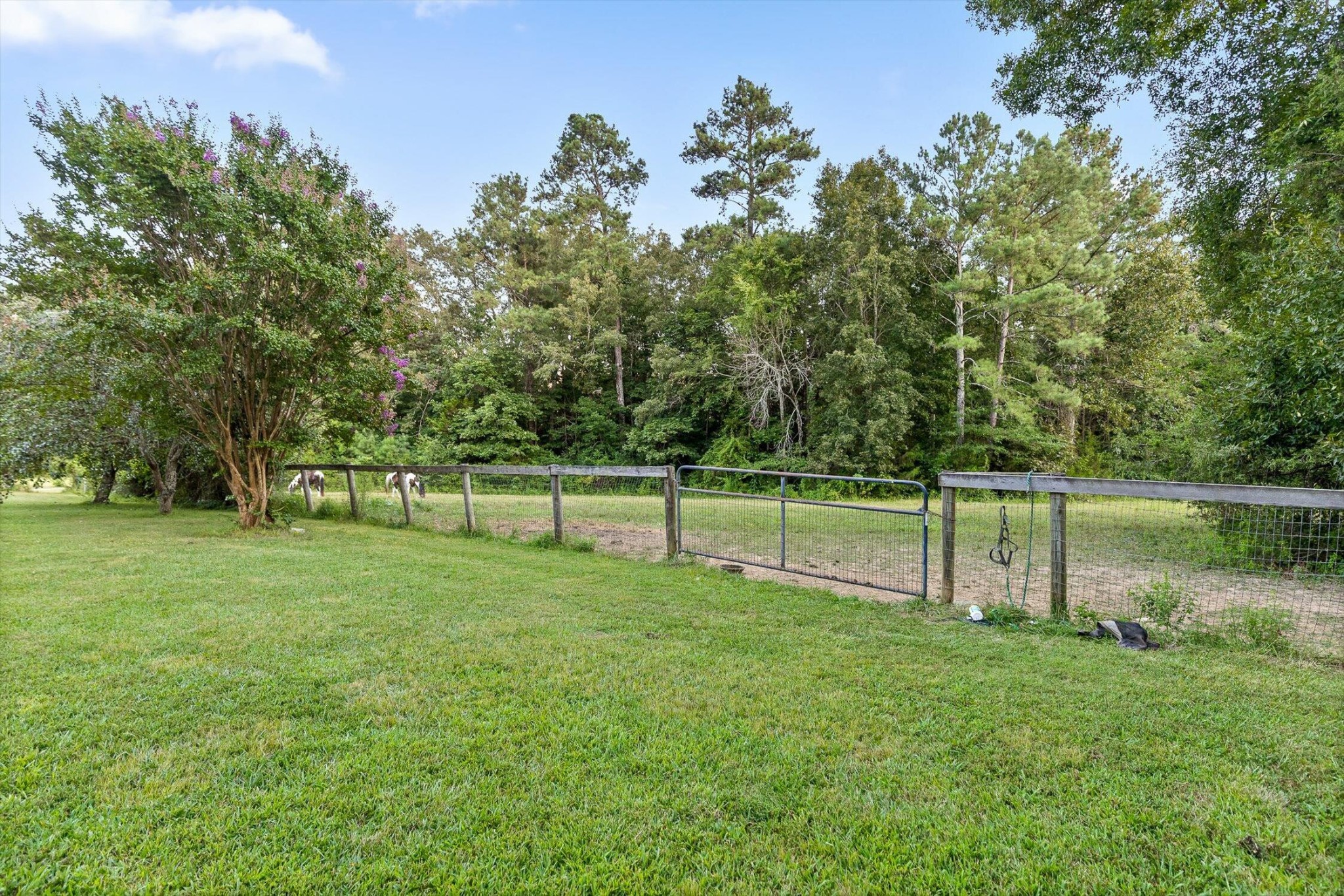 657 Brock Road Chickamauga, GA 30707 - Photo 17 of 55 a view of park with small trees