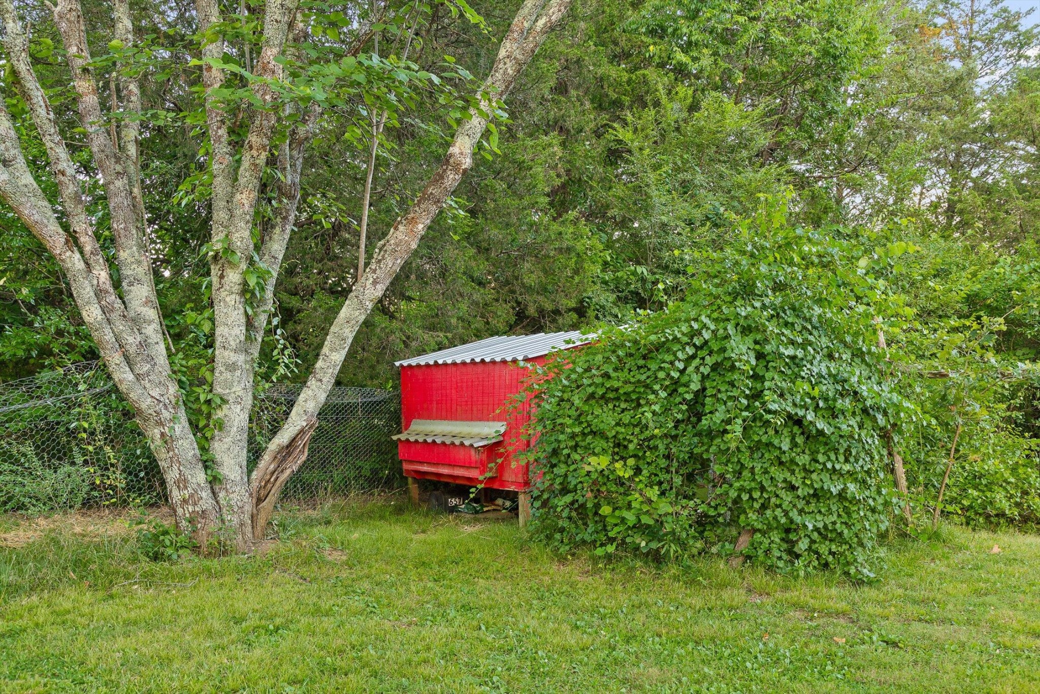 657 Brock Road Chickamauga, GA 30707 - Photo 18 of 55 a view of a yard with seating area