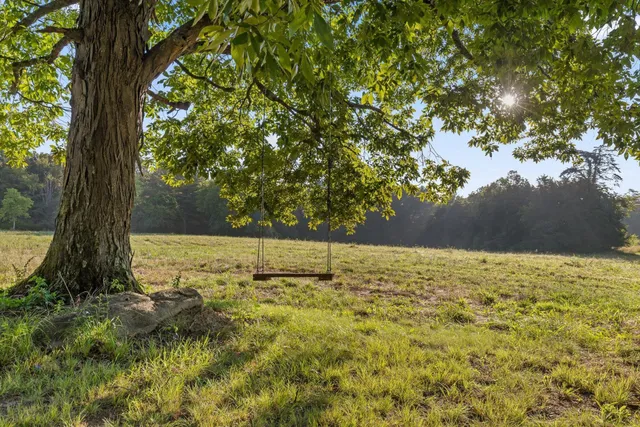 a view of a green yard with large trees