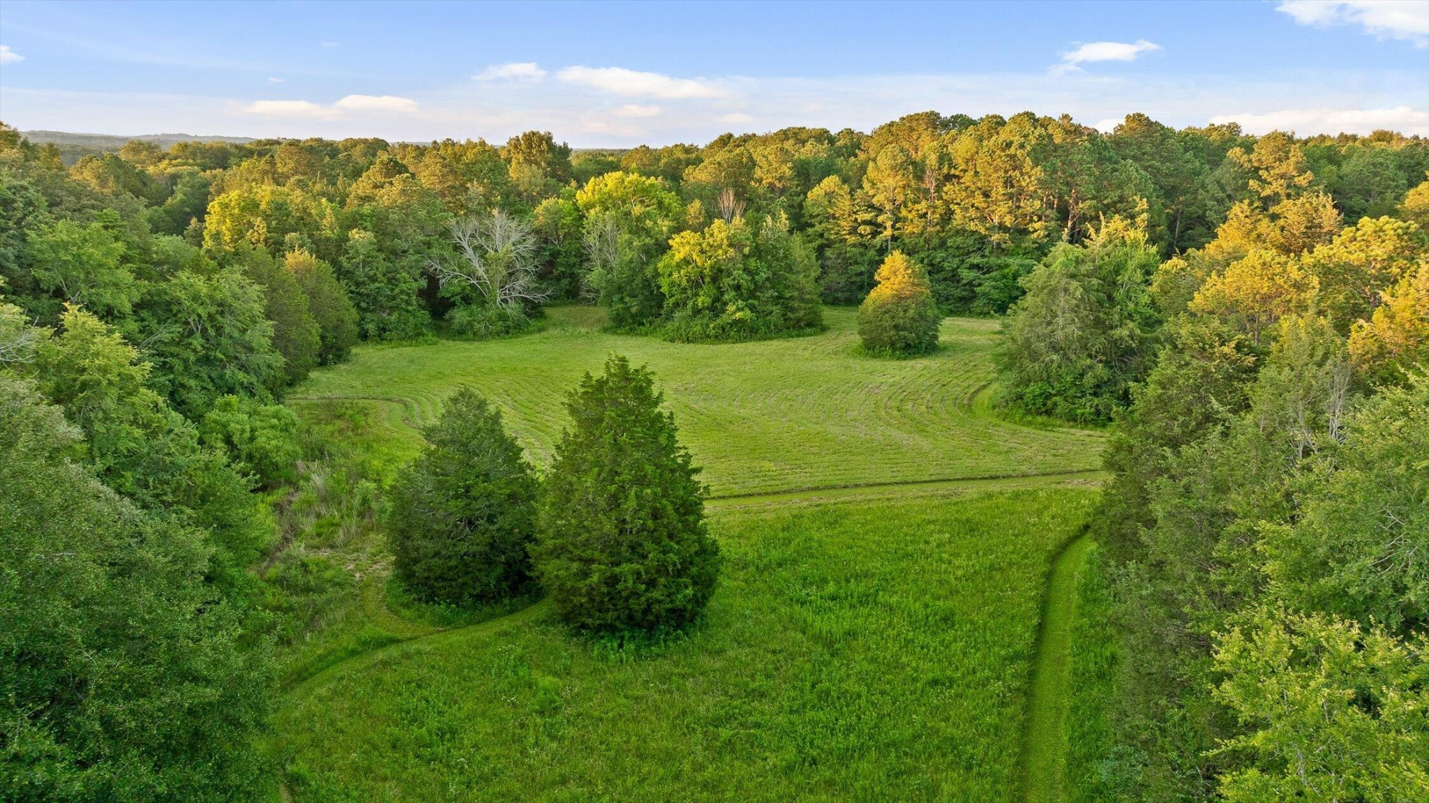 657 Brock Road Chickamauga, GA 30707 - Photo 54 of 55 a view of a green yard with large trees