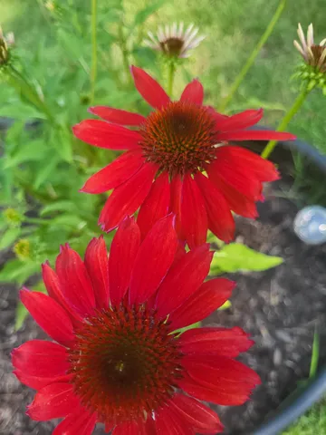 $485,000 | 25 Marshall Avenue, Hartford, VT 05001