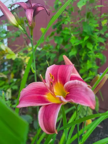 $485,000 | 25 Marshall Avenue, Hartford, VT 05001