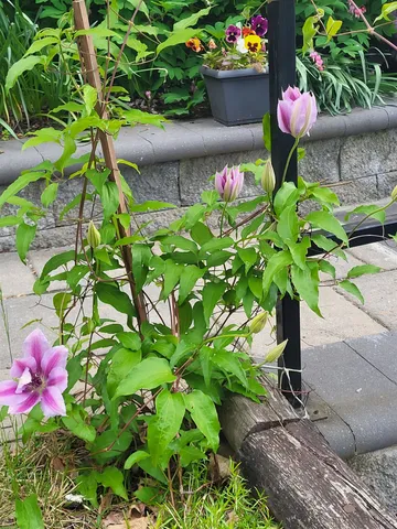 $485,000 | 25 Marshall Avenue, Hartford, VT 05001