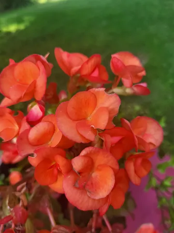 $485,000 | 25 Marshall Avenue, Hartford, VT 05001