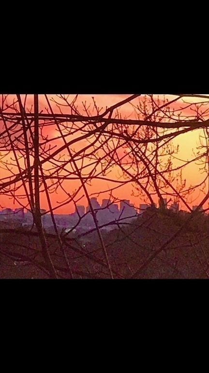 22 Burdett Road Lynn, MA 01904 - Photo 27 of 30 a view of a back yard