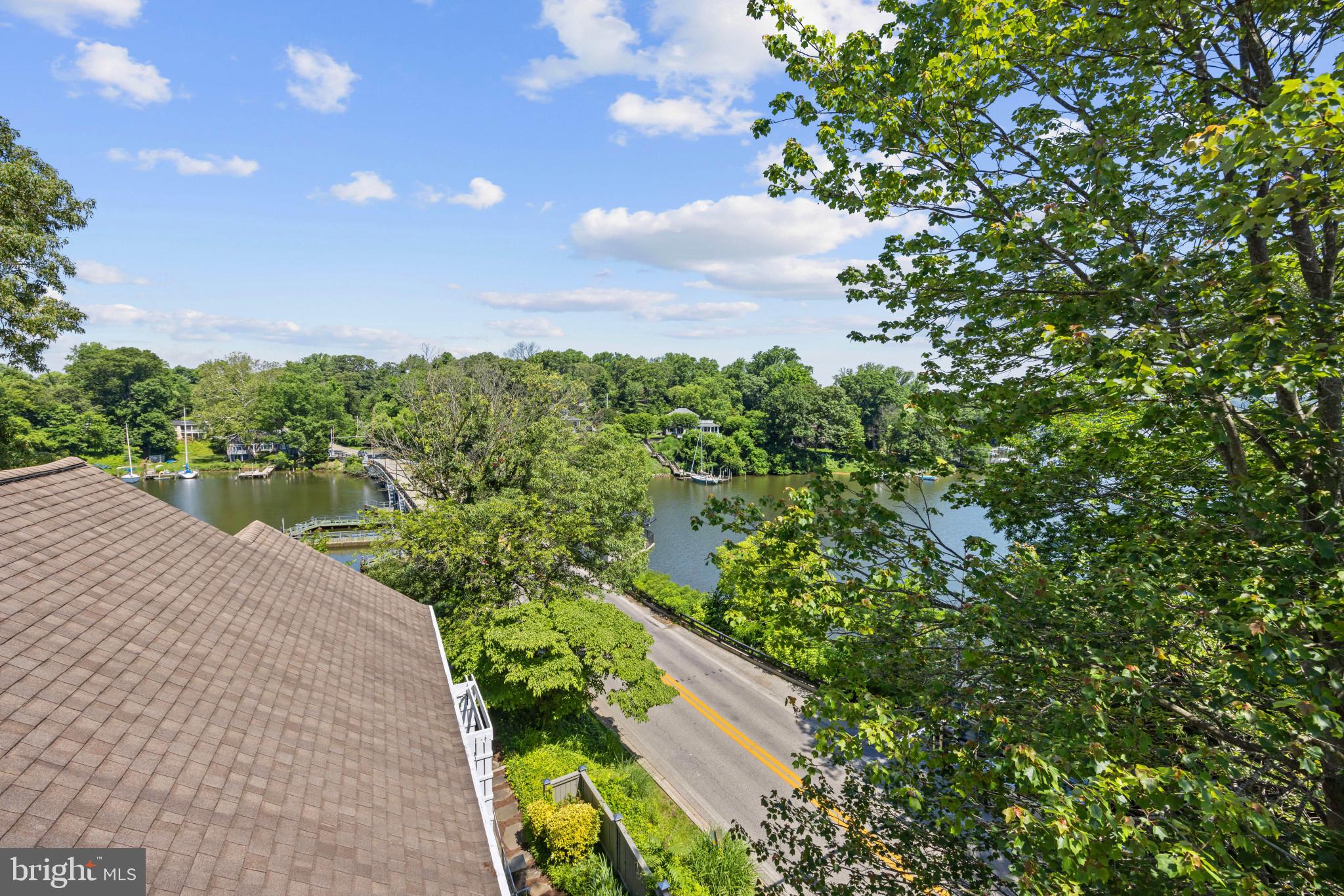 411 Ridgely Avenue Annapolis, MD 21401 - Photo 36 of 48 Serene view through the treetops