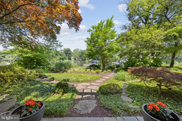 a view of a garden with a bench and a tree