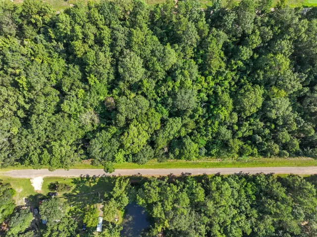 $10,000 | 0 Lot 13 Dora Lane, Shepherd, TX 77371