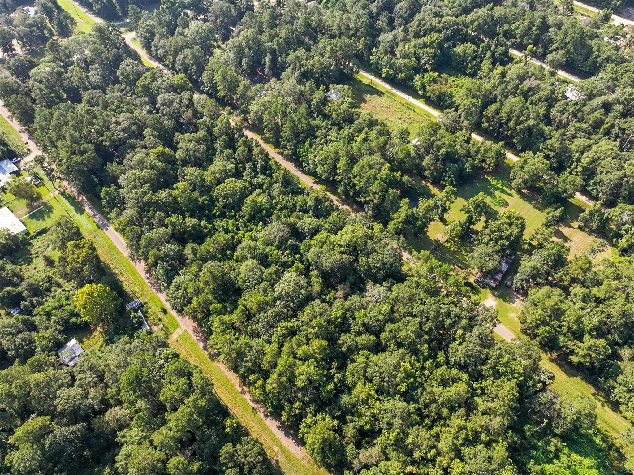0 Lot 13 Dora Lane Shepherd, TX 77371 - Photo 3 of 5
