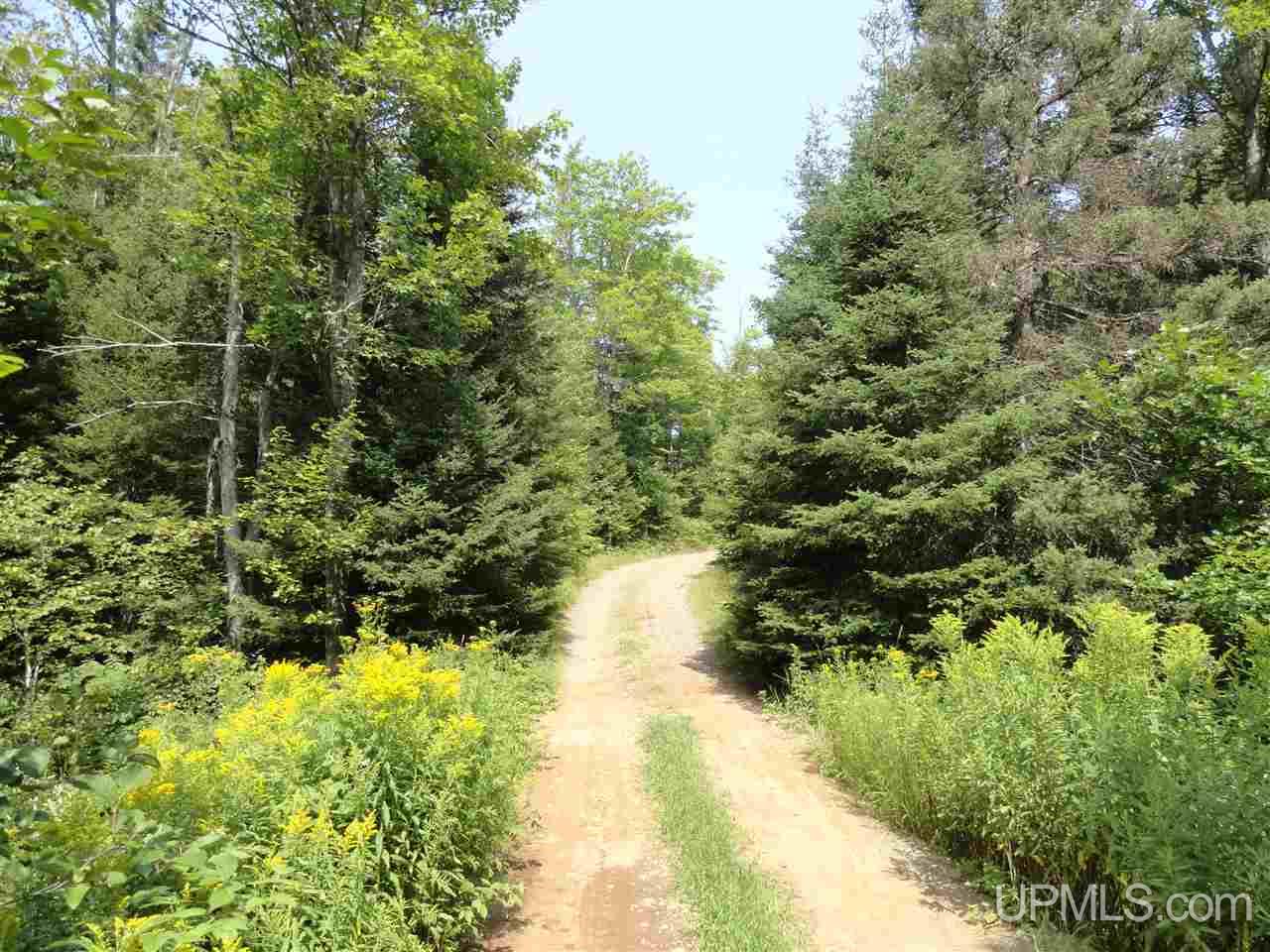 40-acres 40-acres Co Road Ishpeming, MI 49849 - Photo 25 of 36