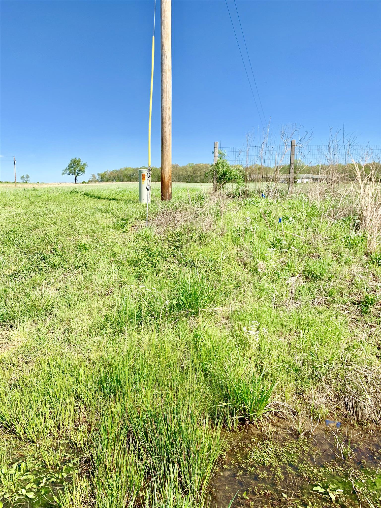 2205 Pocahontas Road Morrison, TN 37357 - Photo 8 of 9 a view of a backyard