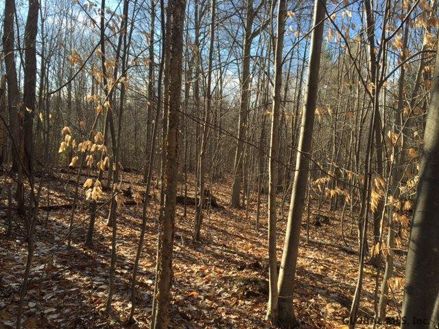 56 Lincoln Mountain Road Corinth, NY 12822 - Photo 1 of 1 Photo 1
