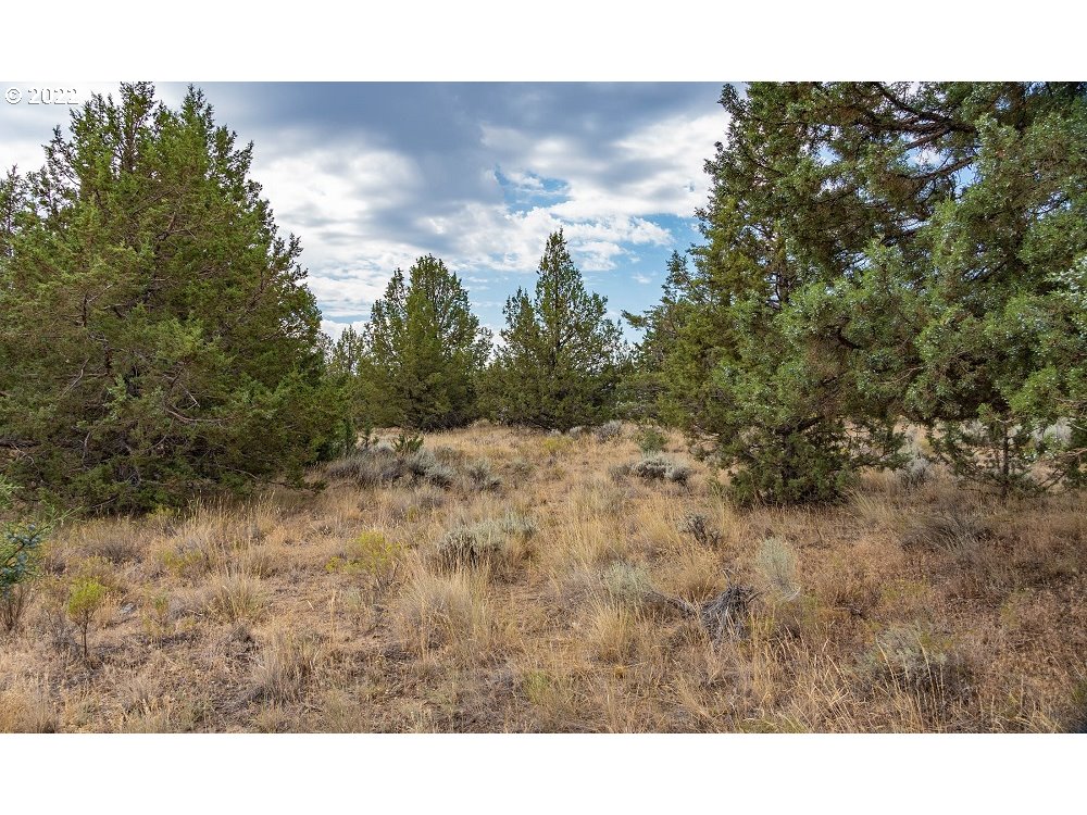 Southwest Wheat Grass Road Terrebonne, OR 97760 - Photo 3 of 9 Gallery Image 3