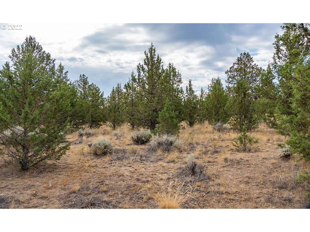 Southwest Wheat Grass Road Terrebonne, OR 97760 - Photo 4 of 9 Gallery Image 4