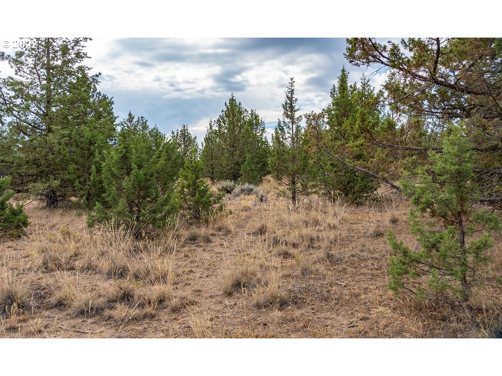 Southwest Wheat Grass Road Terrebonne, OR 97760 - Photo 5 of 9 Gallery Image 5