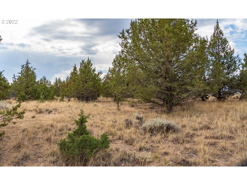 Southwest Wheat Grass Road Terrebonne, OR 97760 - Photo 7 of 9 Gallery Image 7