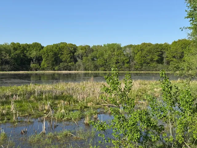 $605,000 | 6254 61st Street South, Cottage Grove, MN 55016