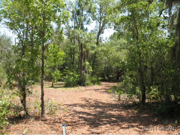 5770 County Road Keystone Heights, FL 32656 - Photo 2 of 8 private drive