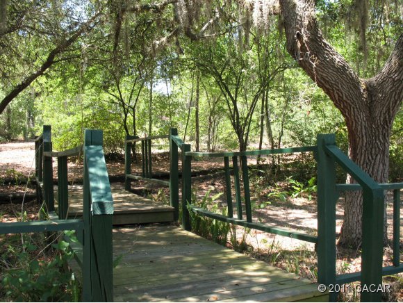 5770 County Road Keystone Heights, FL 32656 - Photo 3 of 8 roadside yard