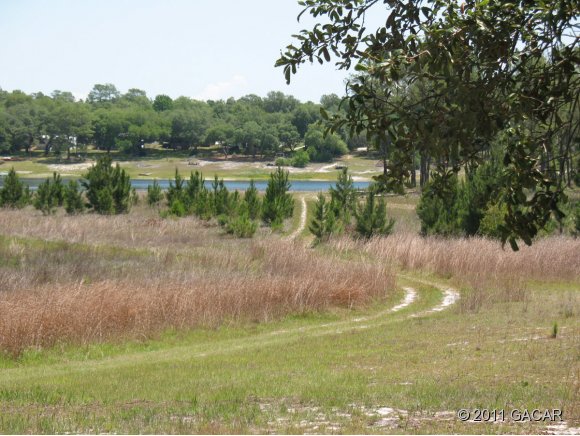5770 County Road Keystone Heights, FL 32656 - Photo 7 of 8 driving path