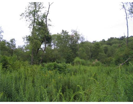 367 McGrady Hollow Road Butler, PA 16002 - Photo 4 of 7 Land.