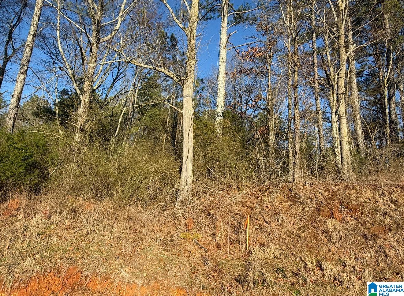 431 Liberty Road Blountsville, AL 35031 - Photo 1 of 3