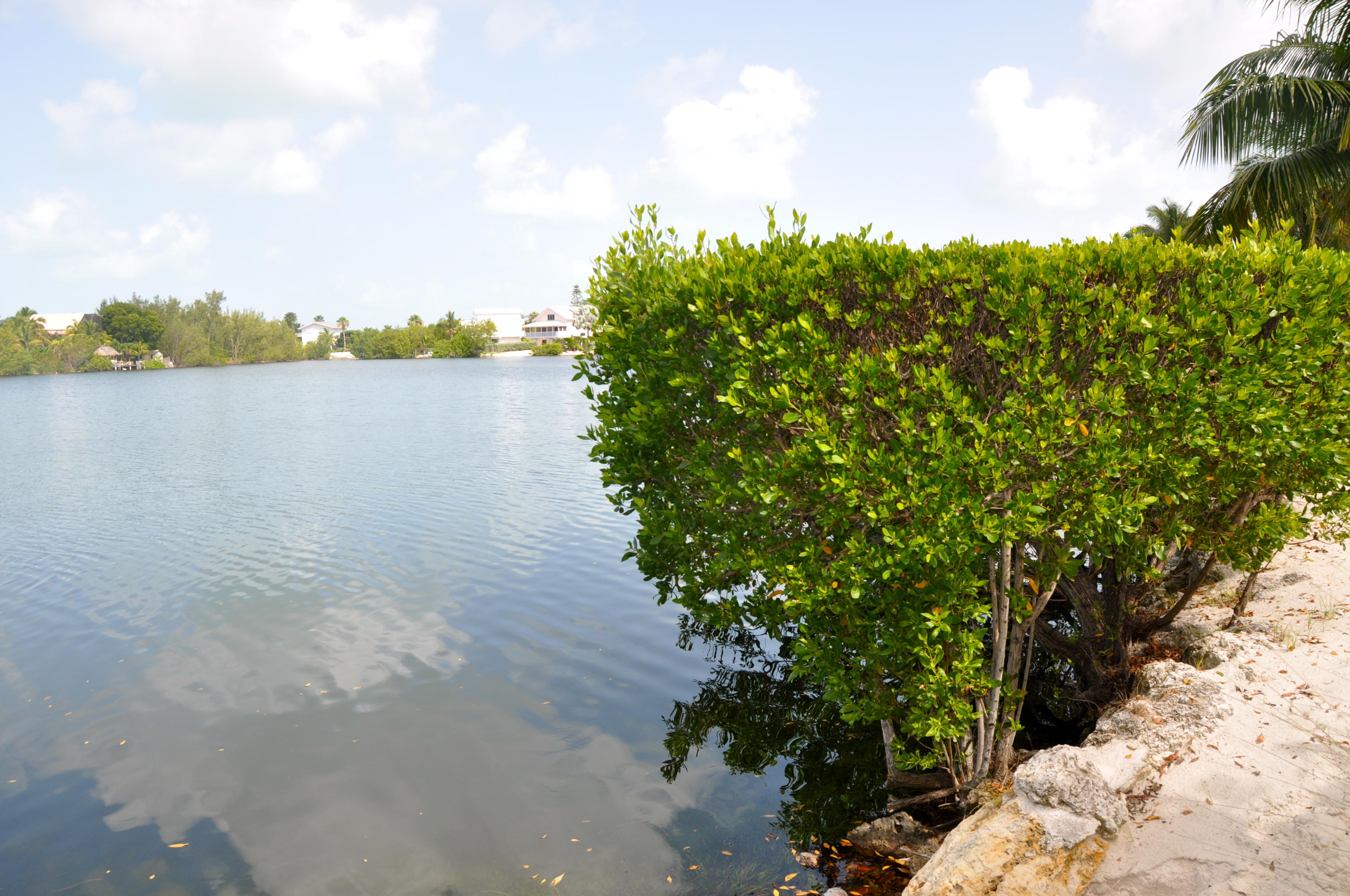 42 Mutiny Place Key Largo, FL 33037 - Photo 4 of 40 View from back yard