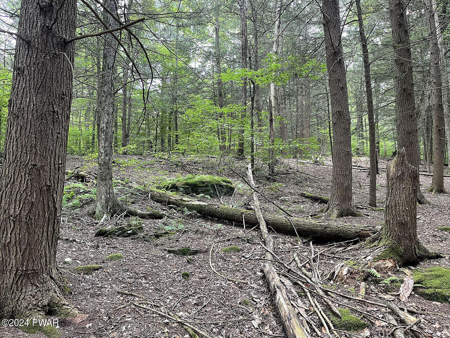0 Rotten Road Equinunk, PA 18417 - Photo 13 of 20