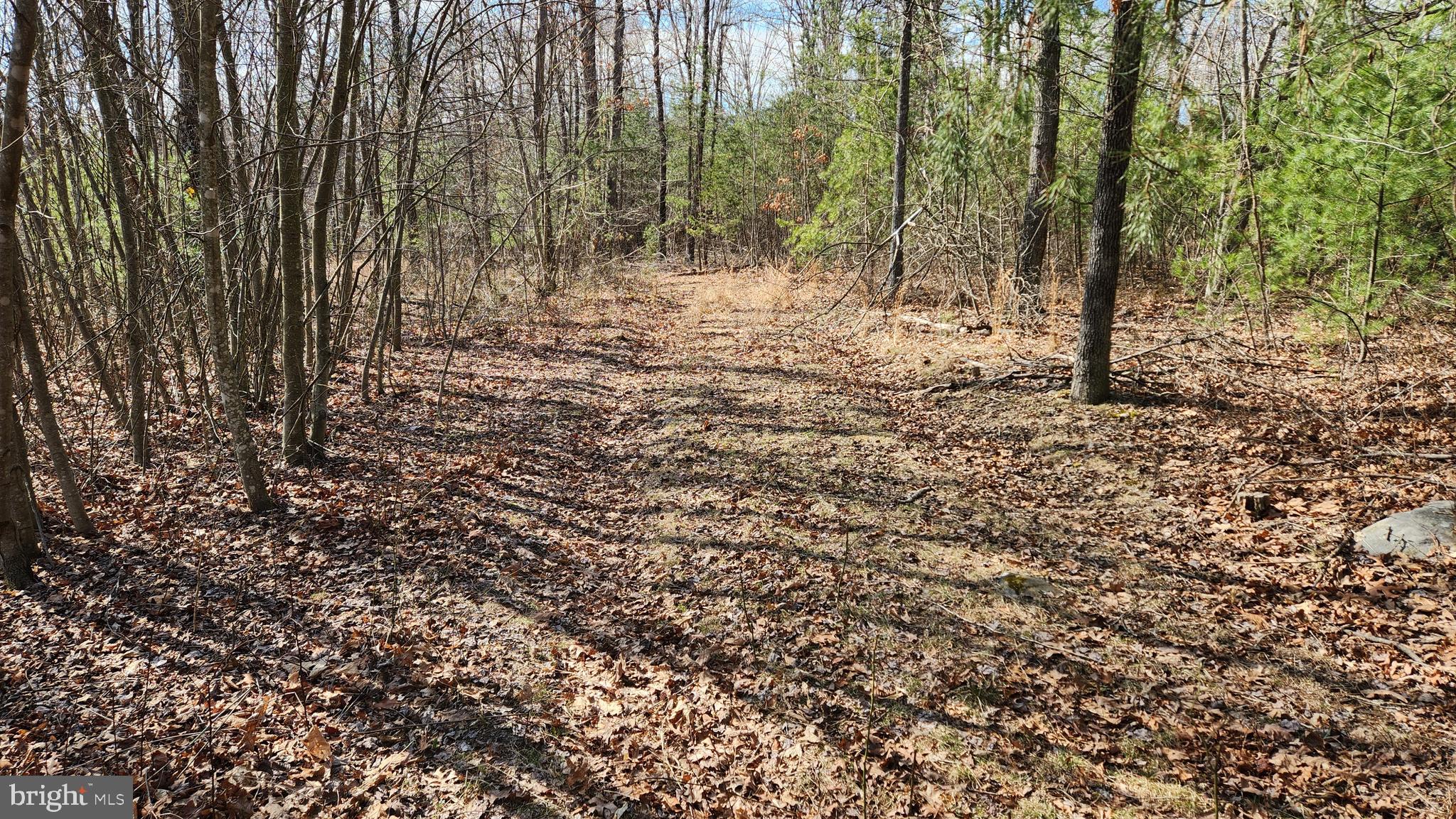 1605 Paddys Run Road Star Tannery, VA 22654 - Photo 11 of 14