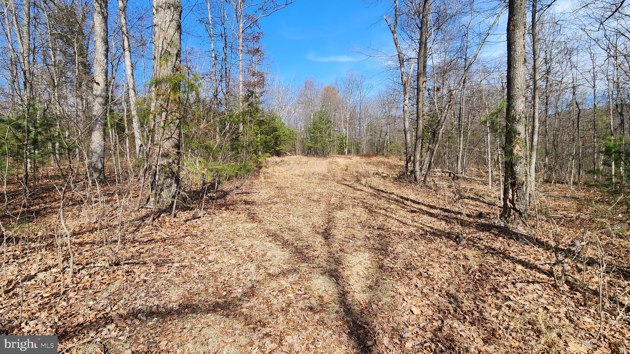 1605 Paddys Run Road Star Tannery, VA 22654 - Photo 12 of 14