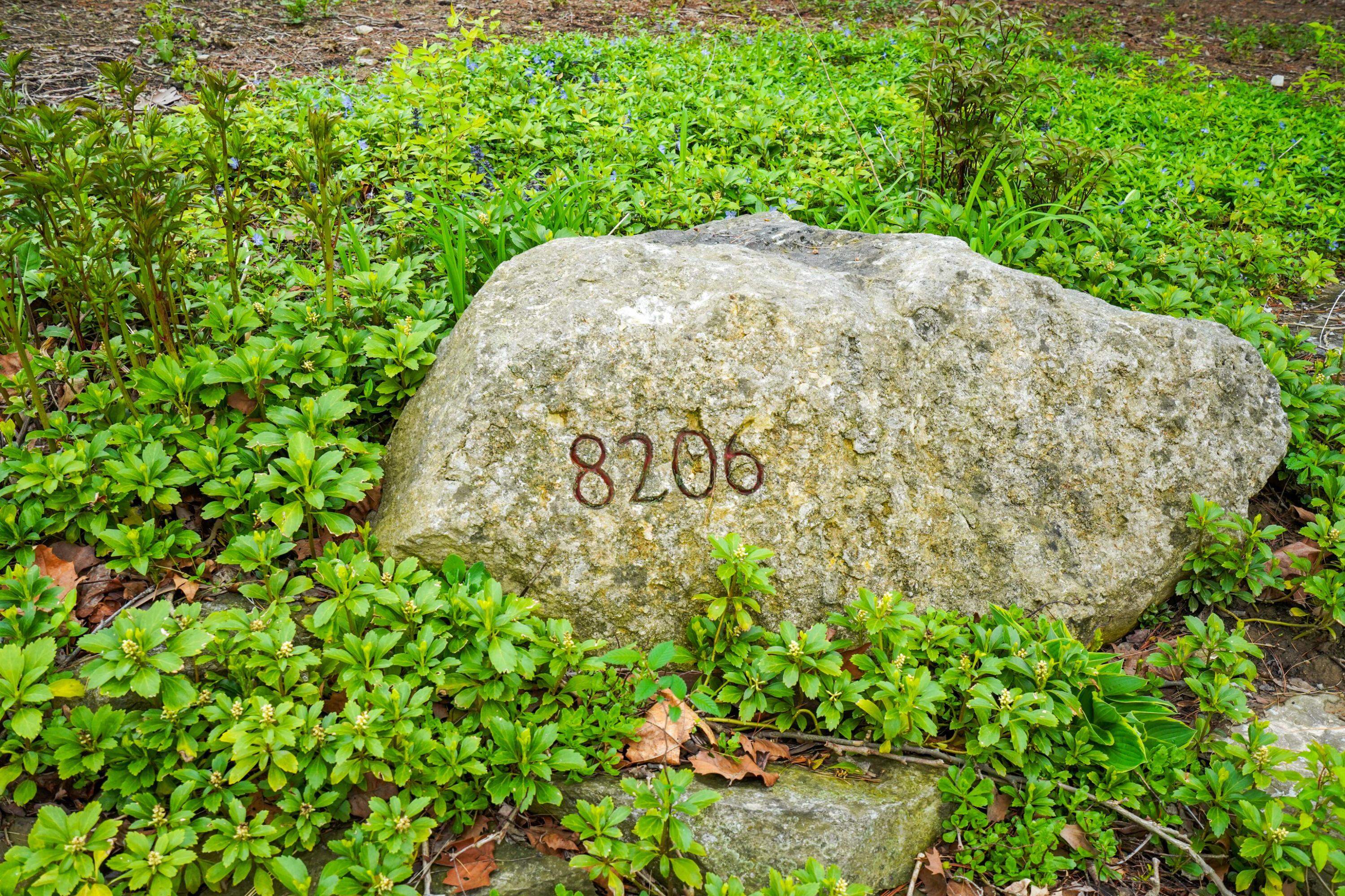 8206 Riverside Drive Powell, OH 43065 - Photo 30 of 51