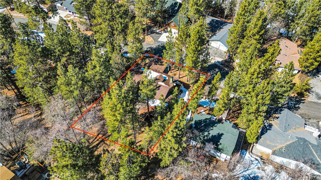 42363 Paramount Road Big Bear Lake, CA 92315 - Photo 50 of 58 a view of a tree