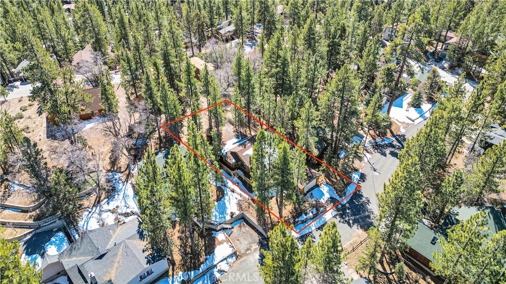 42363 Paramount Road Big Bear Lake, CA 92315 - Photo 52 of 58 a picture of tree