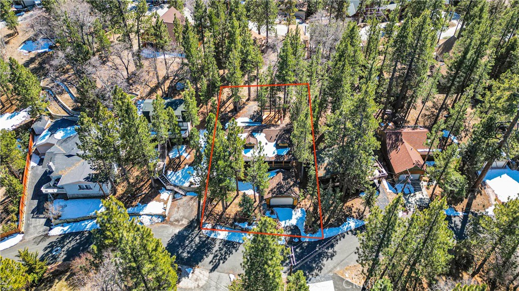 42363 Paramount Road Big Bear Lake, CA 92315 - Photo 53 of 58 a view of tree