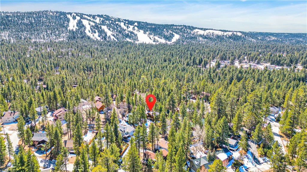 42363 Paramount Road Big Bear Lake, CA 92315 - Photo 54 of 58