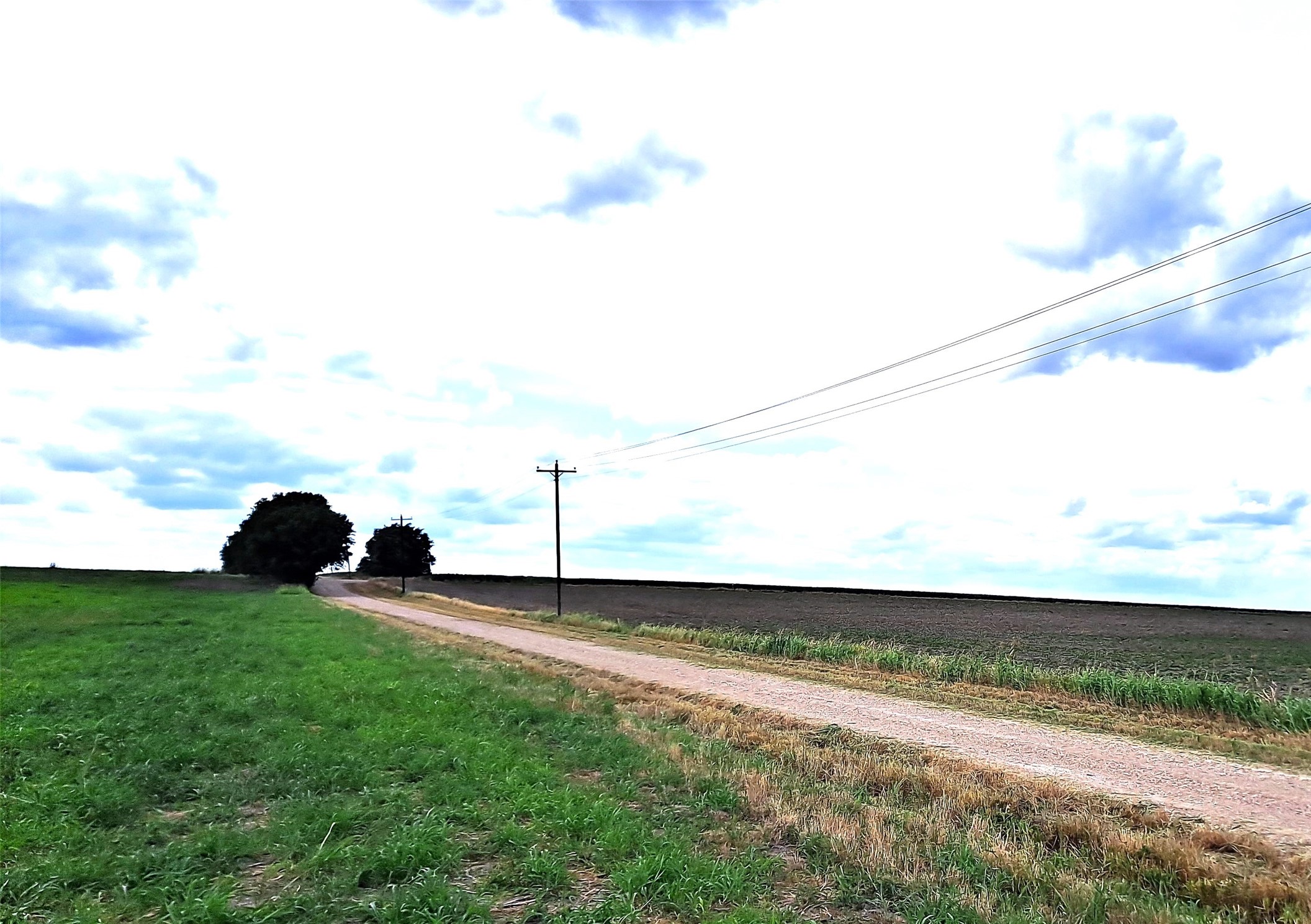 3 County Road 432 Road Thorndale, TX 76577 - Photo 3 of 4