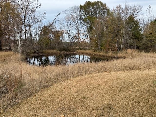 275 Fritton Spur Road Middleton, TN 38052 - Photo 19 of 23 a view of a lake with a yard