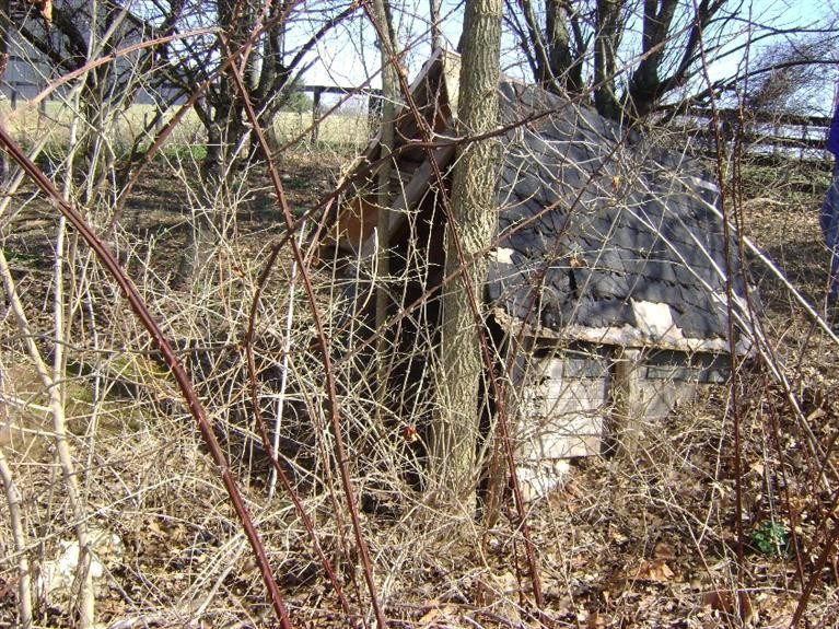 555 Tarr Road Paris, KY 40361 - Photo 36 of 36 Photo 36