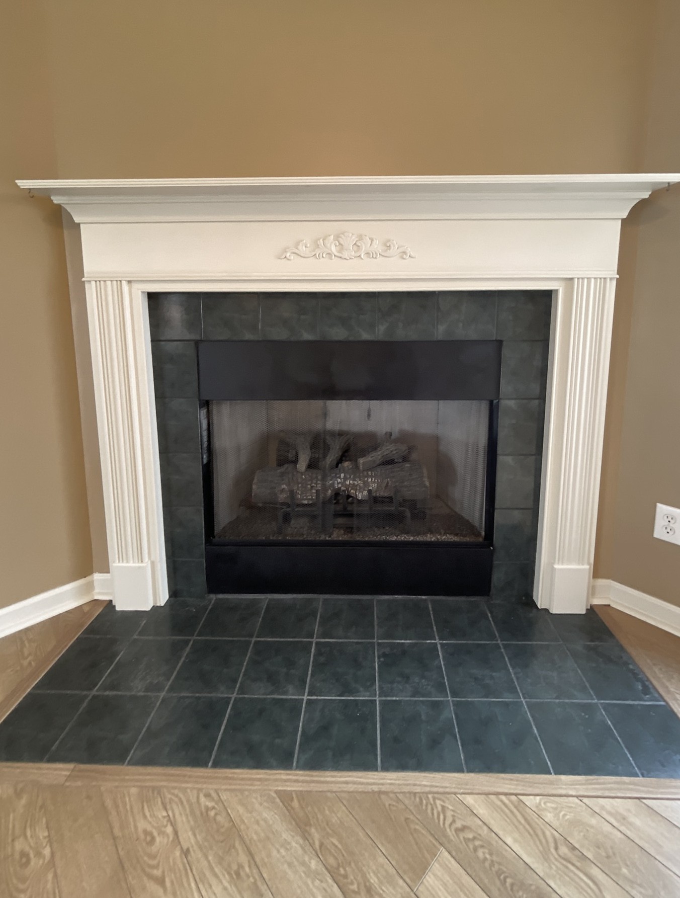 215 Falcon Drive Manchester, TN 37355 - Photo 3 of 25 a view of a fireplace