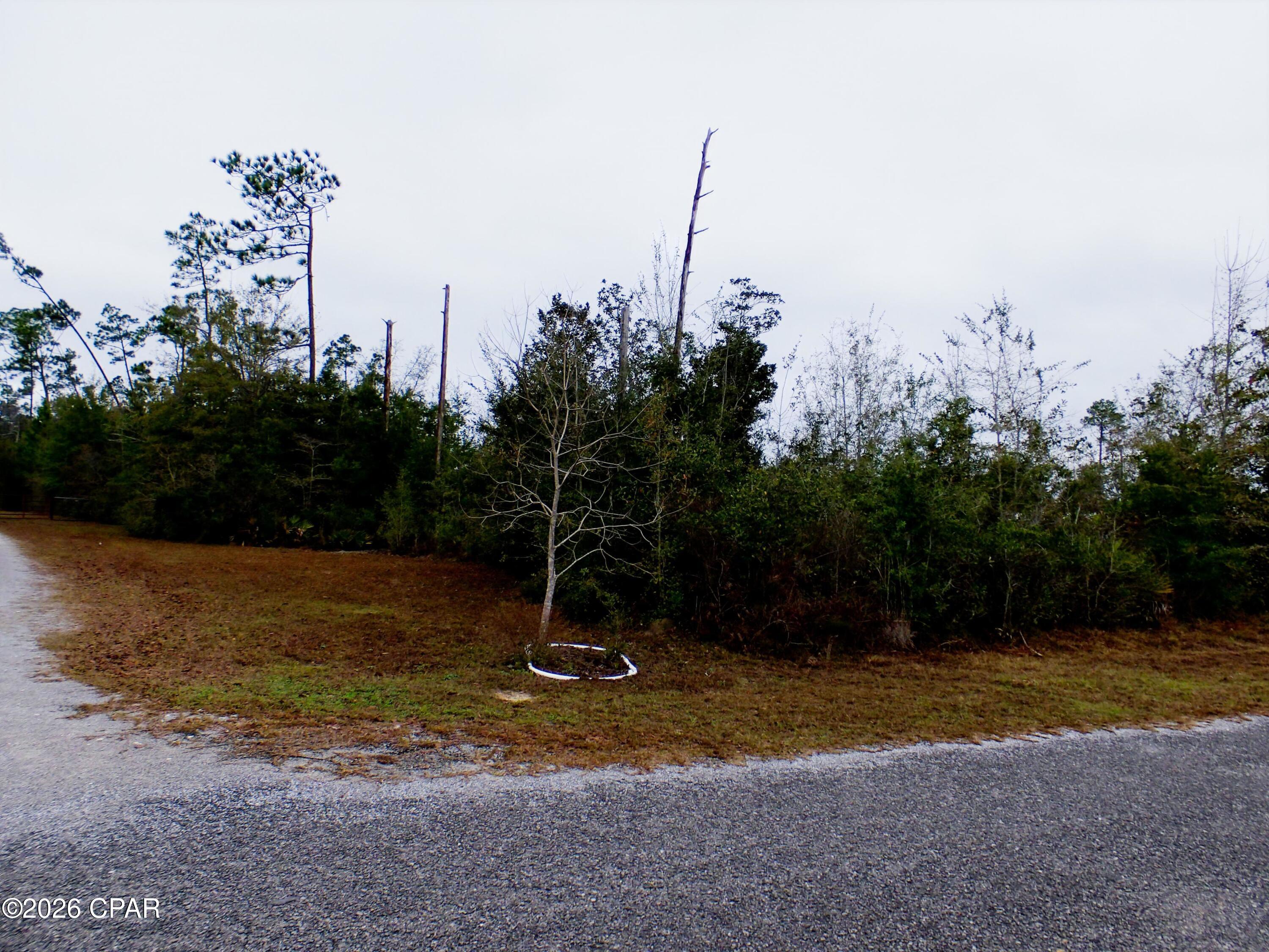 0 Klondyke Road Youngstown, FL 32466 - Photo 1 of 12