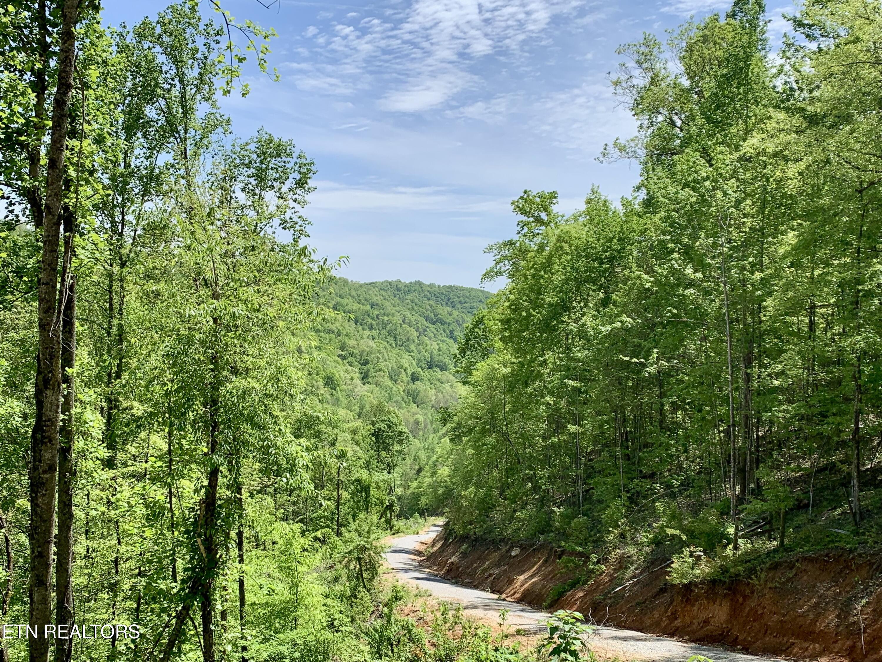 1088 Jones Ridge Road Speedwell, TN 37870 - Photo 36 of 53 IMG_0054
